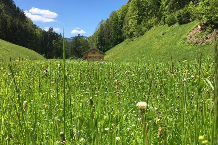 贝曹Ferienhaus Rimsgrund别墅 外观 照片